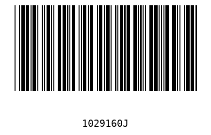 Barcode 1029160