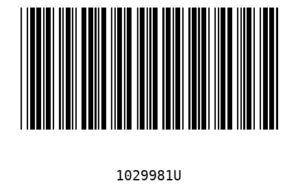 Barcode 1029981