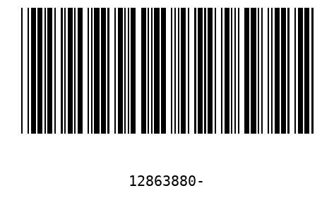 Barcode 12863880