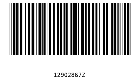 Barcode 12902867