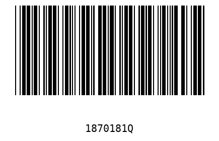Bar code 1870181
