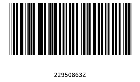 Barcode 22950863