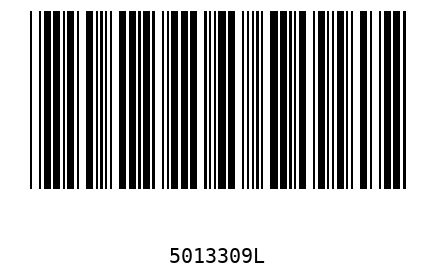 Barcode 5013309