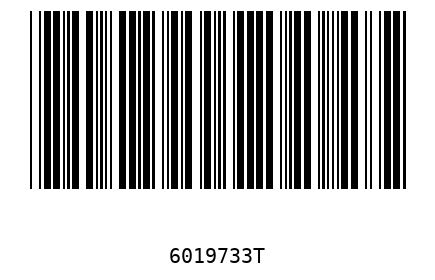 Barcode 6019733
