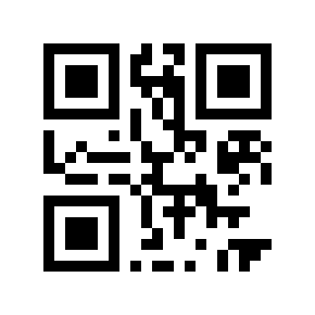 QR code 10011979