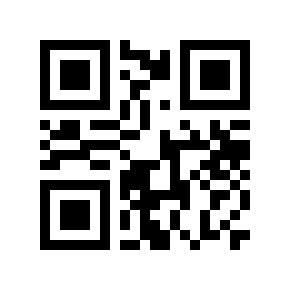 QR code 10051008