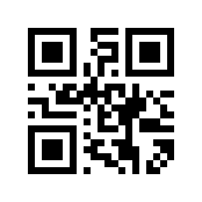 QR code 1100101