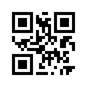 QR code 11050999