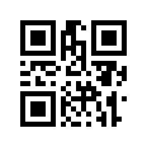 QR code 11051010