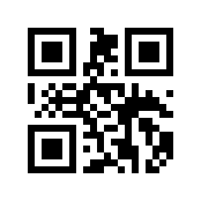 QR code 11112007