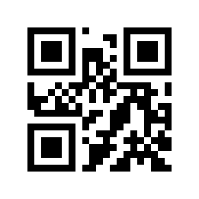 QR code 113261