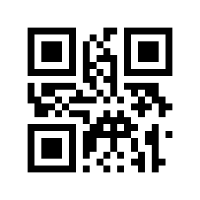 QR code 11631410