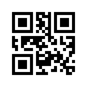 QR code 11666665