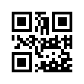 QR code 119869