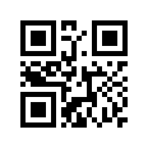 QR code 12172031