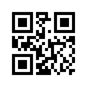 QR code 13102528