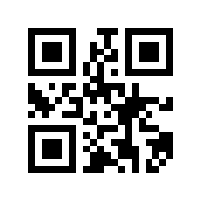QR code 13333311