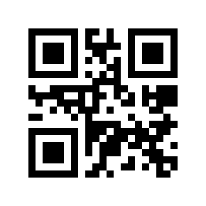 QR code 13333312
