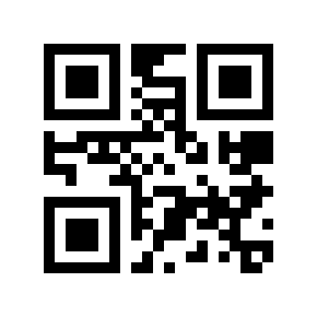 QR code 13333313