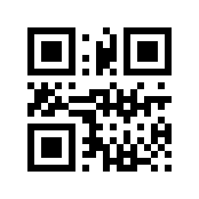 QR code 13333324