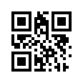 QR code 13333325