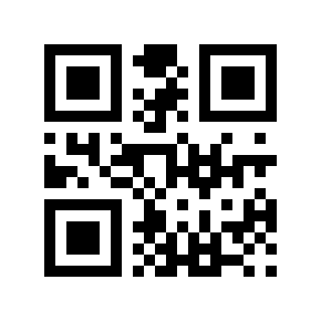 QR code 13333326