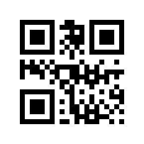 QR code 13333328