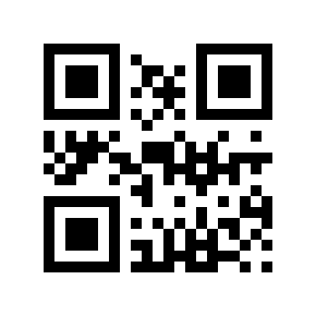 QR code 13333330