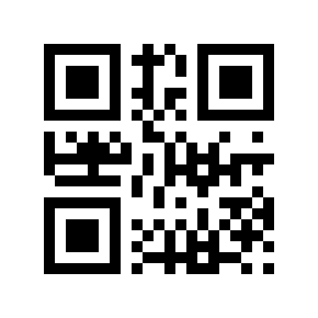QR code 13333333