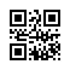 QR code 13333335