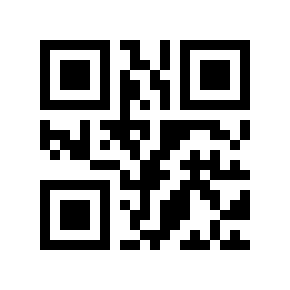 QR code 13333338