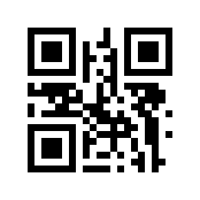 QR code 13333342