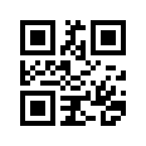 QR code 133667
