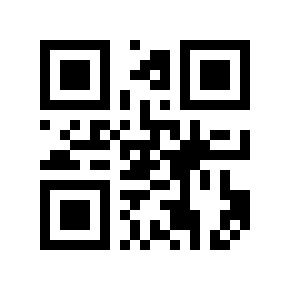QR code 13569961