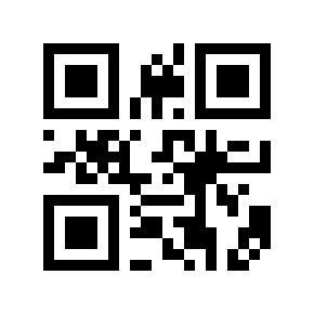 QR code 13569969