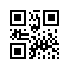 Código QR 13656