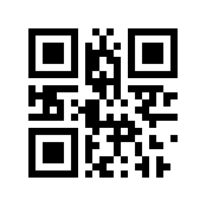 QR code 19999991