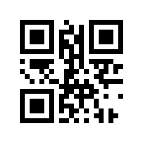 QR code 19999993