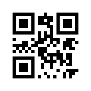 QR code 20833335