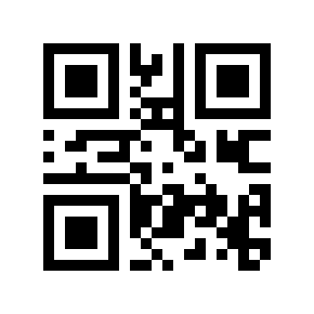 QR code 2502860