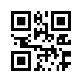 QR code 2502870