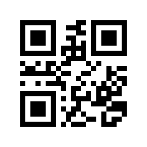 Código QR 27010