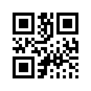 Código QR 29028