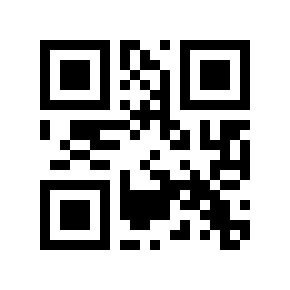 QR code 29101924