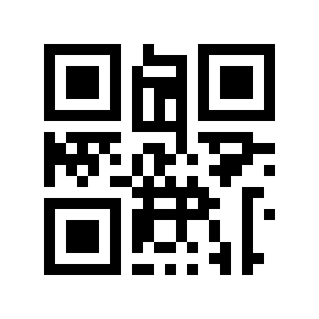 Código QR 29112000