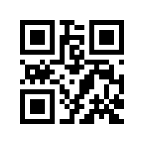 QR code 291163