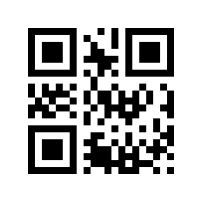 QR code 29121909