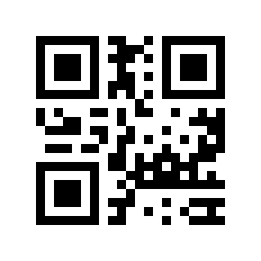 QR code 2919999