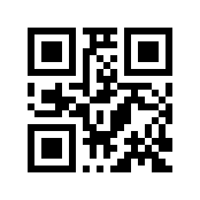 Código QR 29313