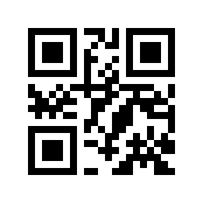 QR code 293134